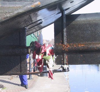 tangled propeller